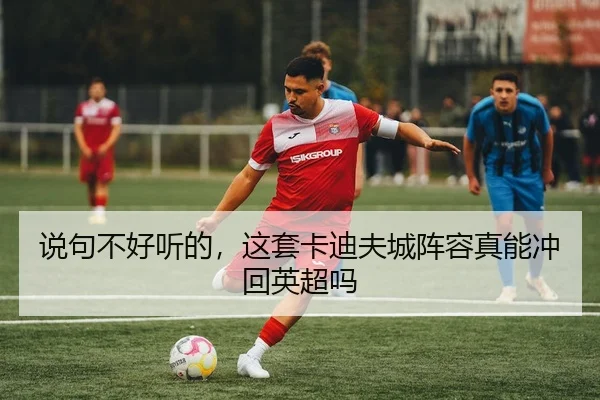 说句不好听的，这套卡迪夫城阵容真能冲回英超吗