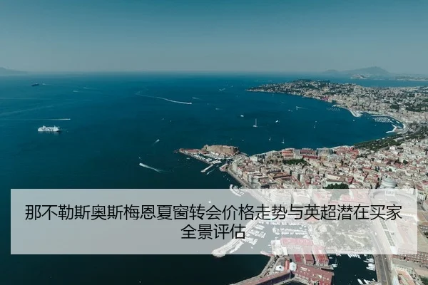 那不勒斯奥斯梅恩夏窗转会价格走势与英超潜在买家全景评估（leyu）